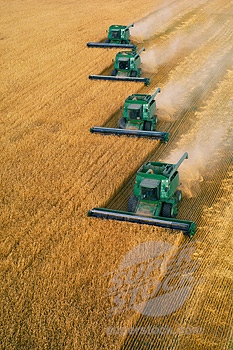 Harvest Time